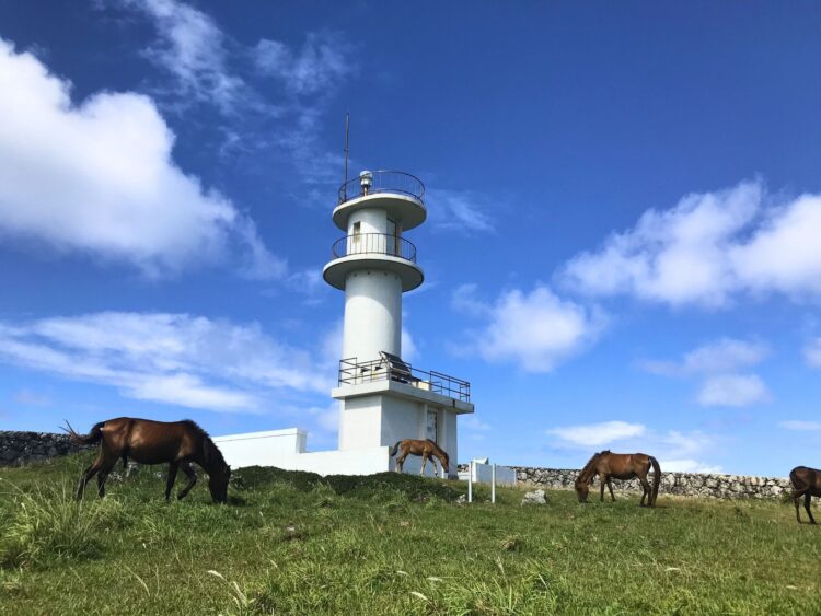 与那国島 日帰り ツアー 東崎展望台