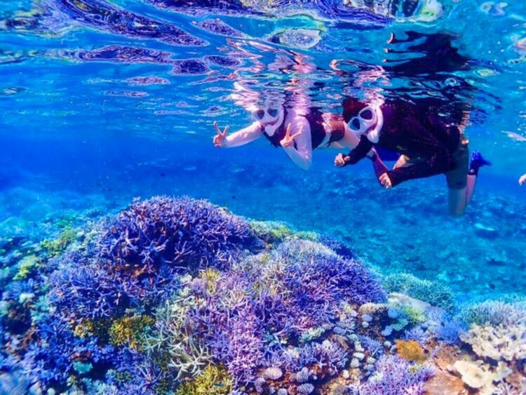 宮古島　八重干瀬　やびじ　シュノーケル　シュノーケリング