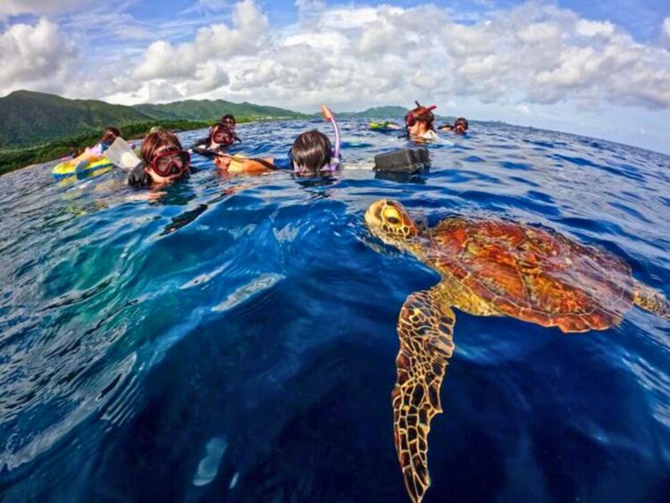 石垣島　青の洞窟　ウミガメ　シュノーケル　ツアー