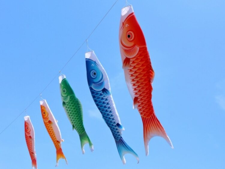 鯉のぼり