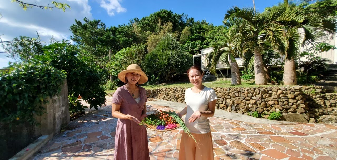 垣間見る自然　4枚　30th 石垣島/川平湾【ドローン撮影無料！】当日予約OK！クリアサップフォト