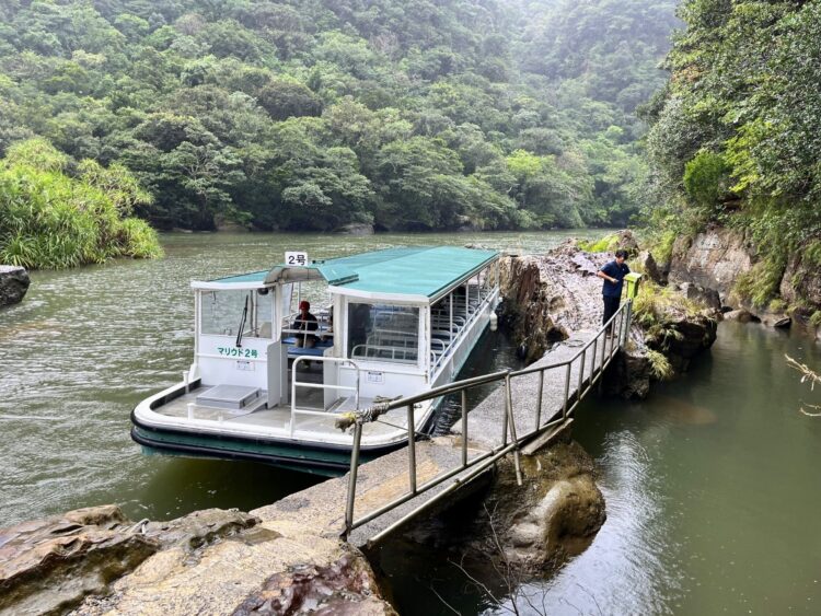 西表島 浦内川 ジャングルクルーズ