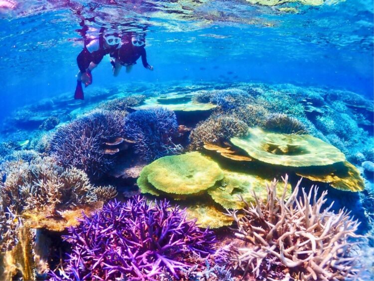 宮古島　八重干瀬　やびじ　シュノーケル　シュノーケリング