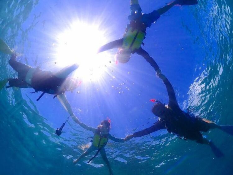 石垣島 シュノーケル