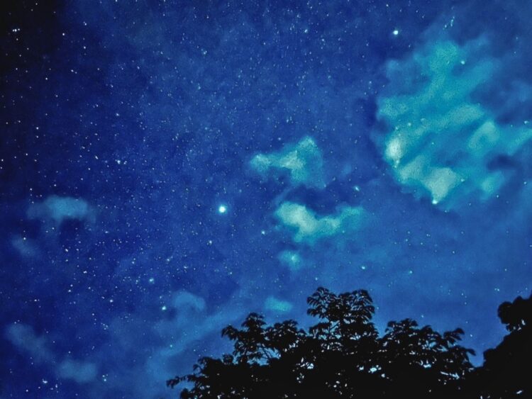 小浜島　星空　ナイトツアー