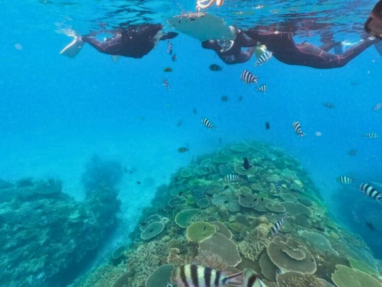 本部町　水納島　シュノーケル