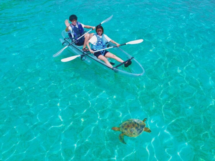 宮古島　カヤック　ウミガメ