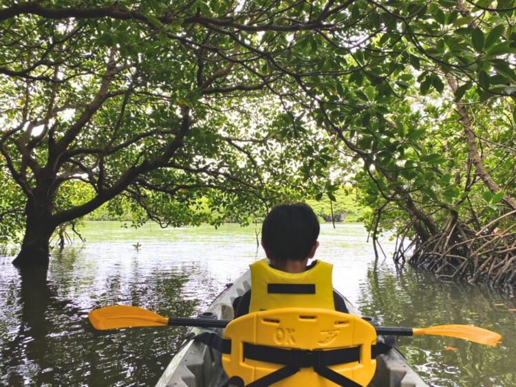 石垣島 春休み マリンアクティビティ宮良川カヤック