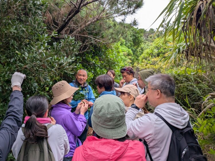 しまたび交流祭2026 体験