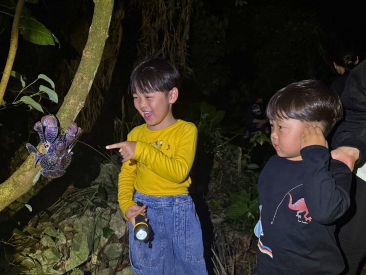 宮古島　ナイトツアー　子ども　子連れ