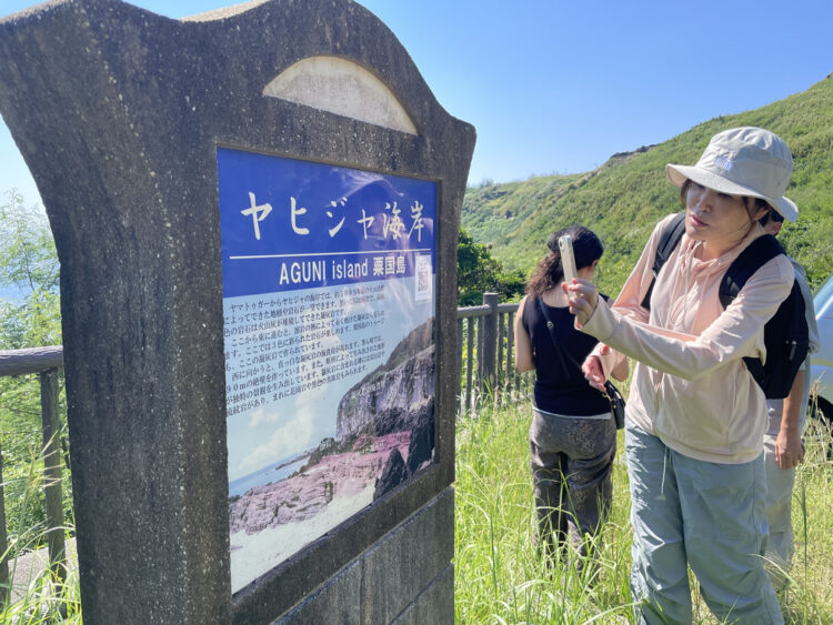 粟国島ヤヒジャ海岸の地層を解説する現地案内板