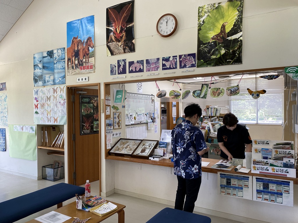 【与那国島】世界最大の蛾「ヨナグニサン」を見るならアヤミハビル館へ！ | しまたび｜沖縄の離島 アクティビティ＆体験予約・観光情報