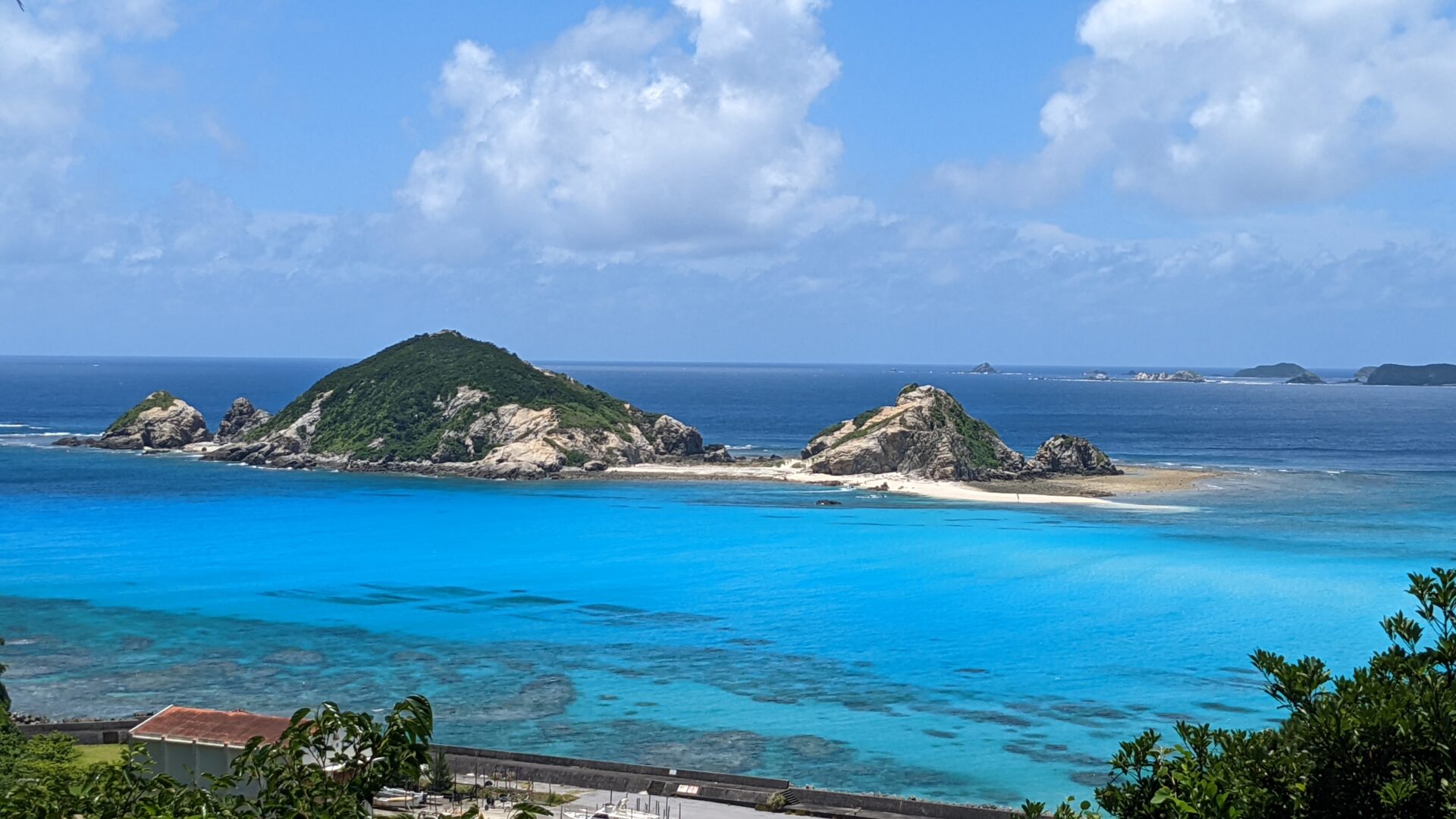 敷島 PXL_20220629_034402464-mossan.jpg