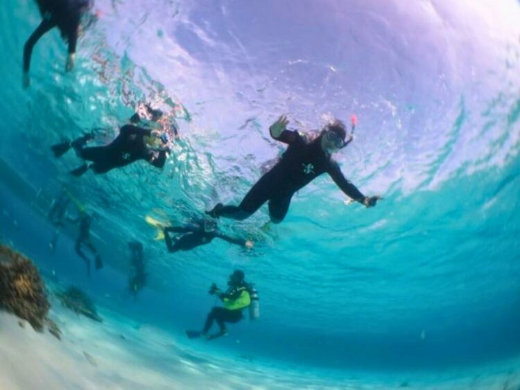 石垣島　シュノーケル　ツアー